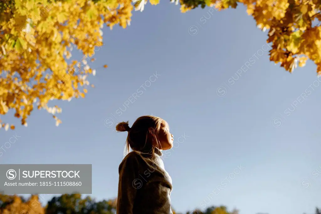 Little girl enjoying sunlight in autumn