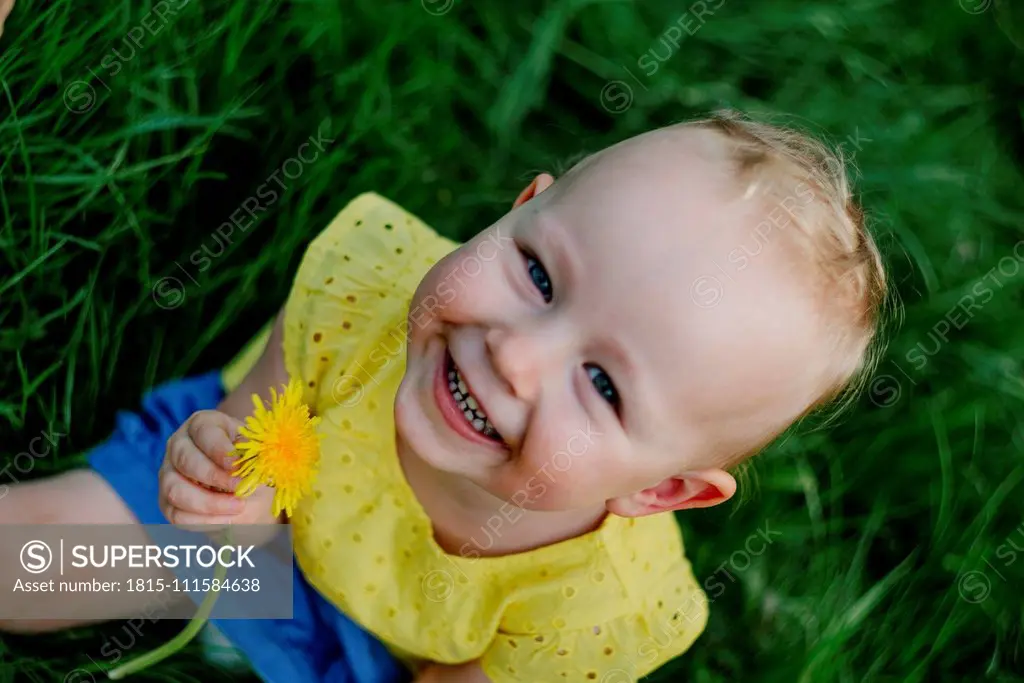 Portrait of happy little girl with dandelion sitting on a meadow