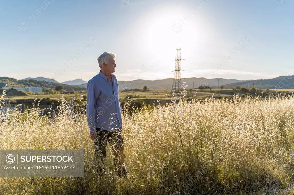 Senior man standing on a field at sunset