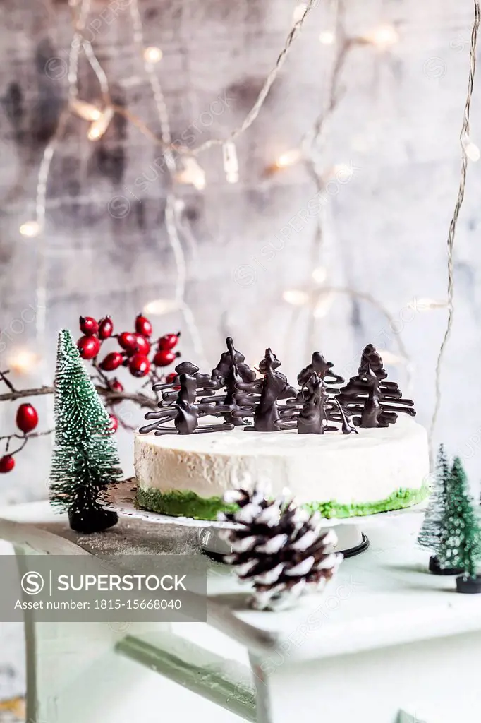 Christmas cheesecake decorated with chocolate trees