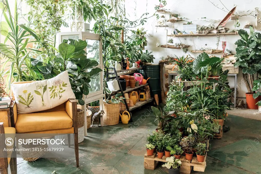 Assortment of plants and decoration in a showroom