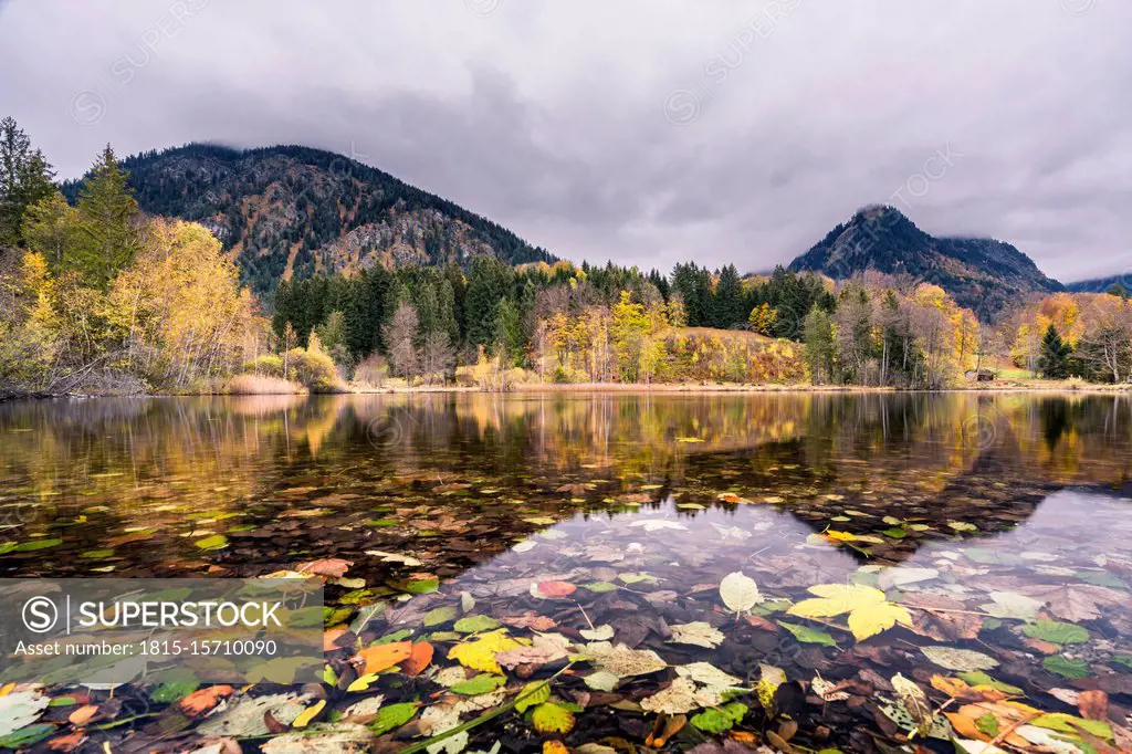 Germany, Bavaria, Allgau Alps, Oberstdorf, Autumn leaves on Moorweiher in mountain landscape