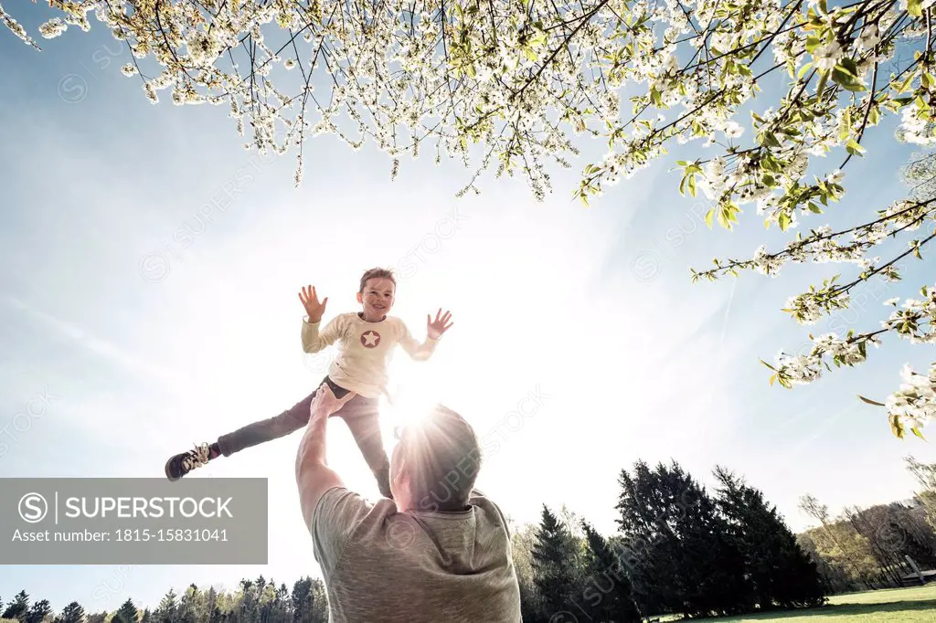 Father throwing son in air