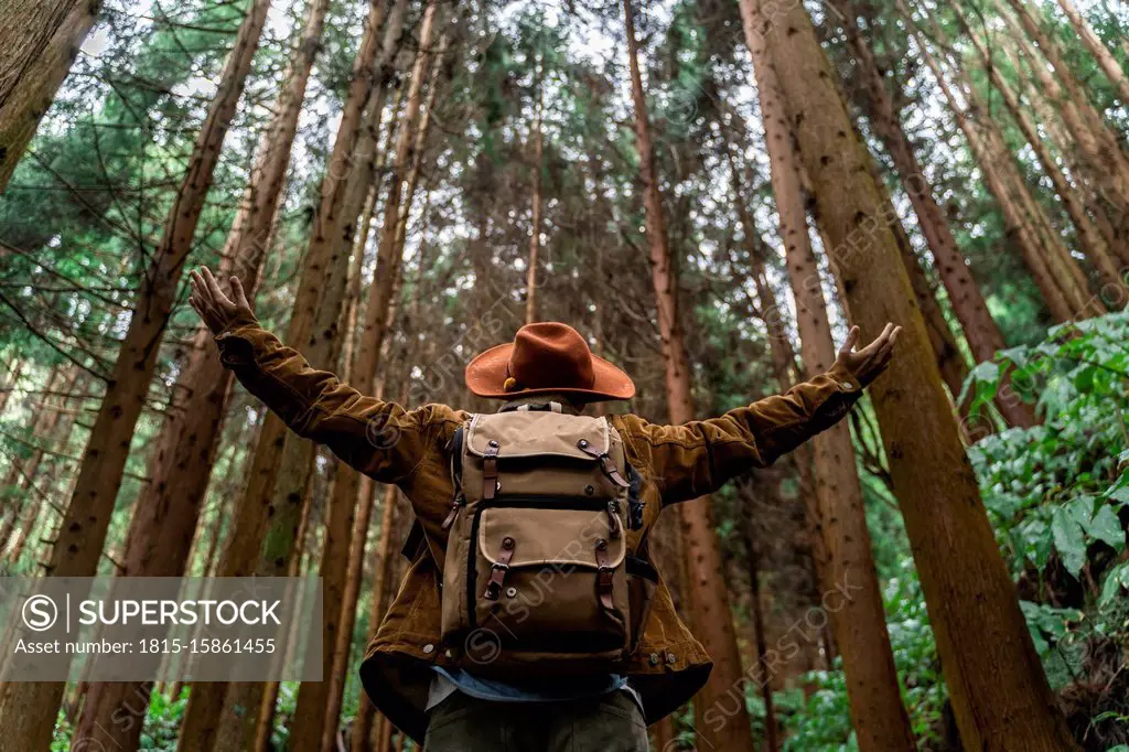 Man standing in forest surrounded by trees, Sao Miguel Island, Azores, Portugal