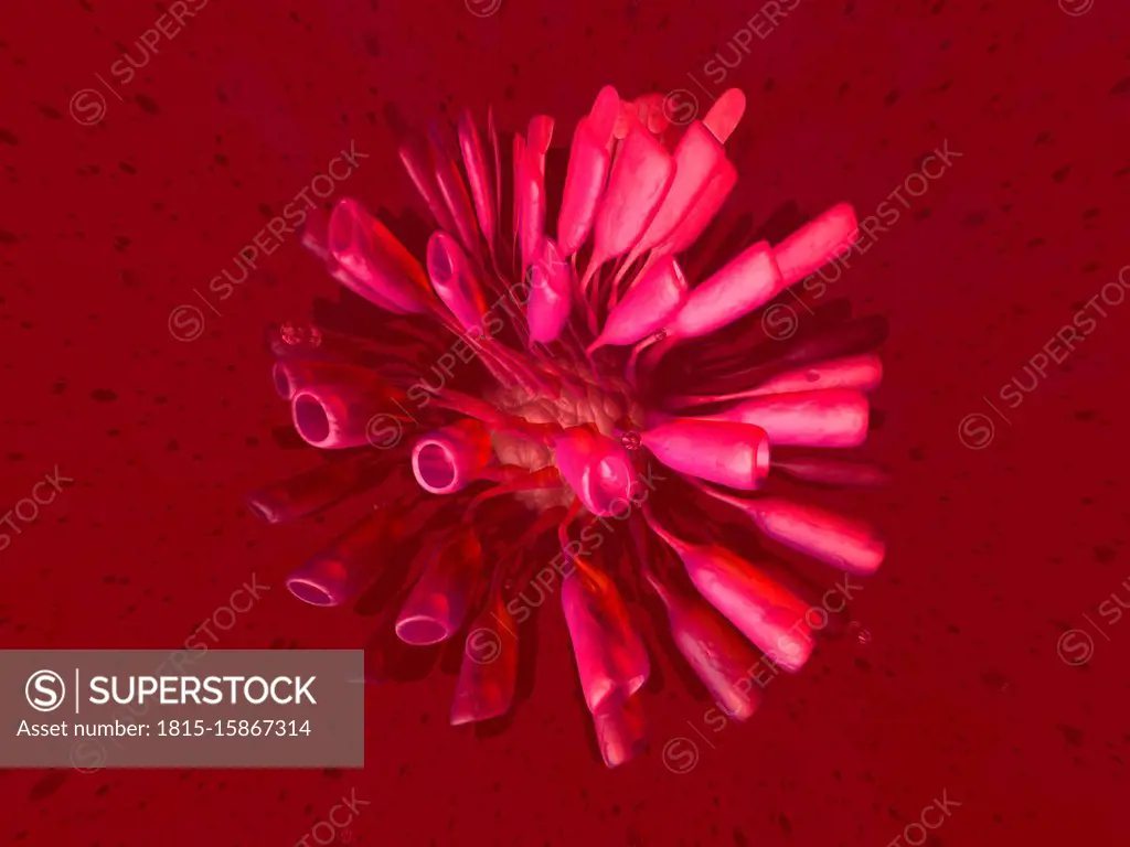 3D Rendered Illustration, visualisation of a generic virus