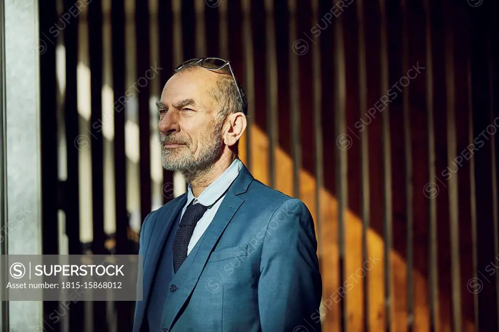 Senior businessman standing in his sustainable office, portrait