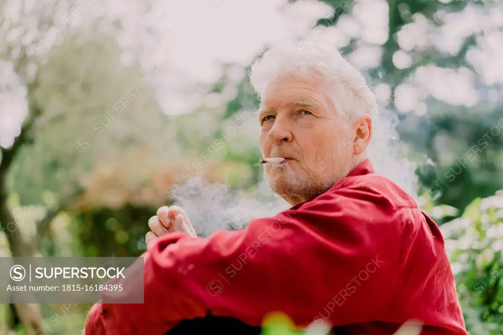 Retired senior man smoking marijuana while sitting at orchard