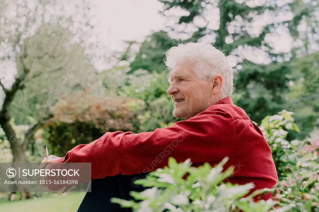 Side view of elderly man relaxing while sitting with marijuana joint at orchard