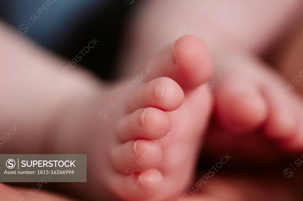 Extreme close-up of baby girl's feet