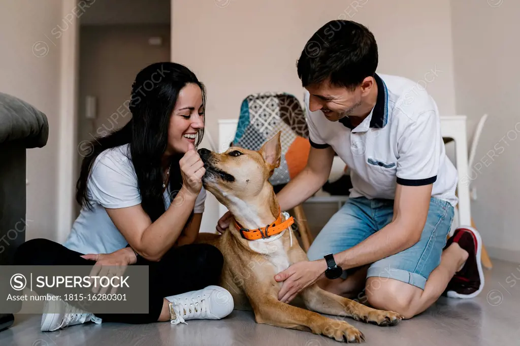 Couple playing with dog while sitting on floor at home