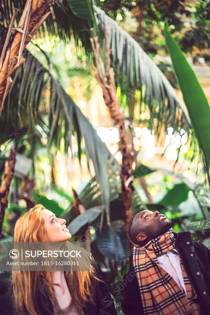 Stylish colleagues looking up while sitting against trees