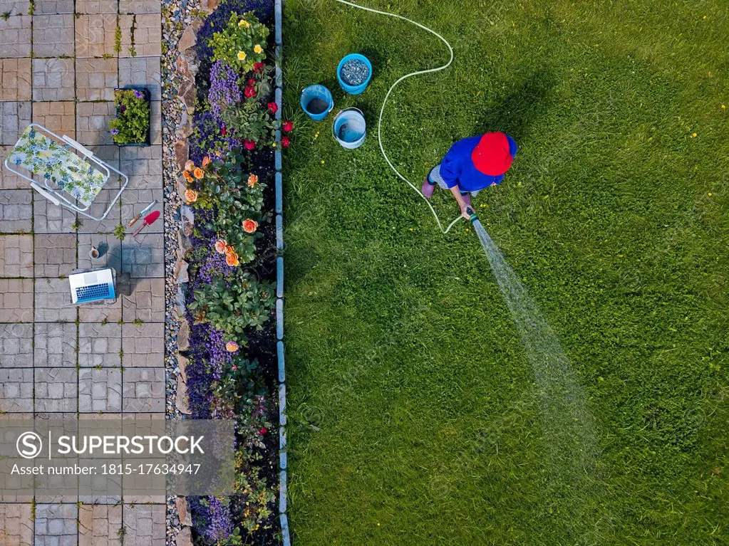 Aerial view of adult woman watering grass in backyard