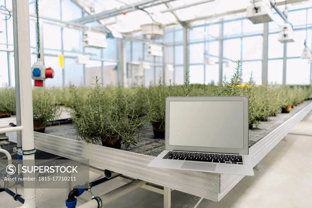 Laptop on equipment against plants in garden center