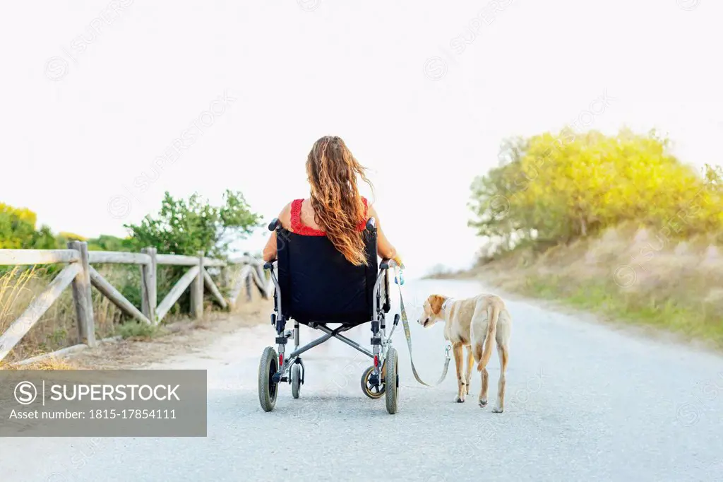 Woman in wheelchair with dog on road against clear sky