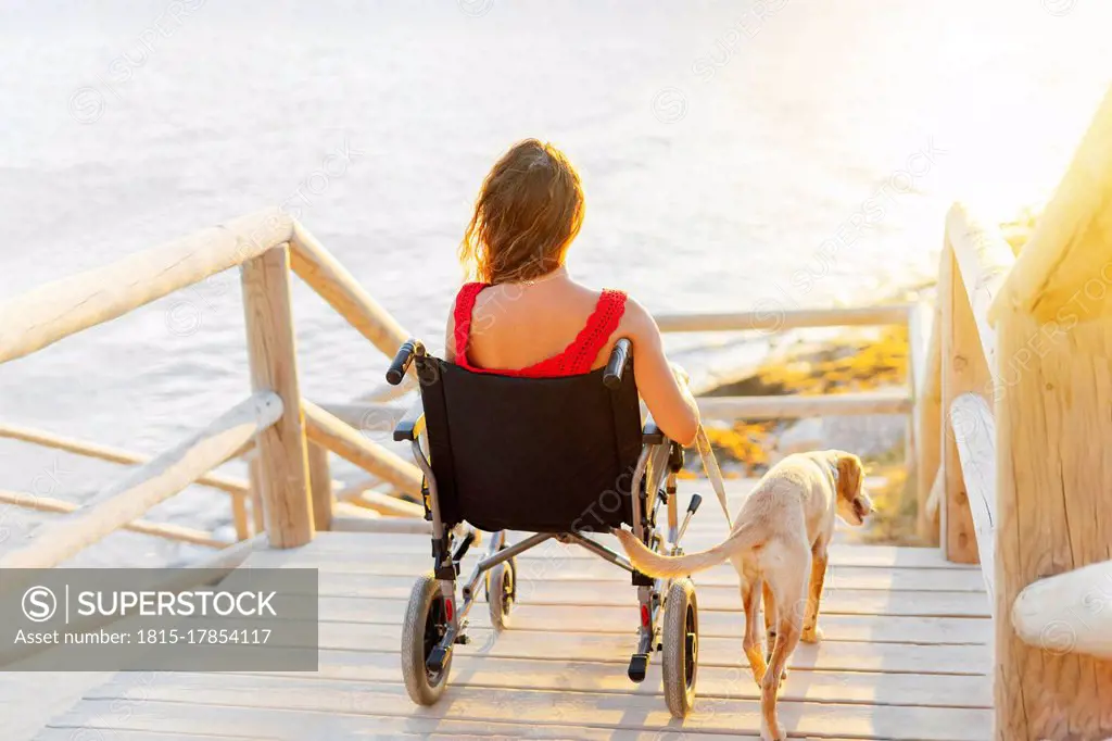 Woman in wheelchair with dog on footpath at beach