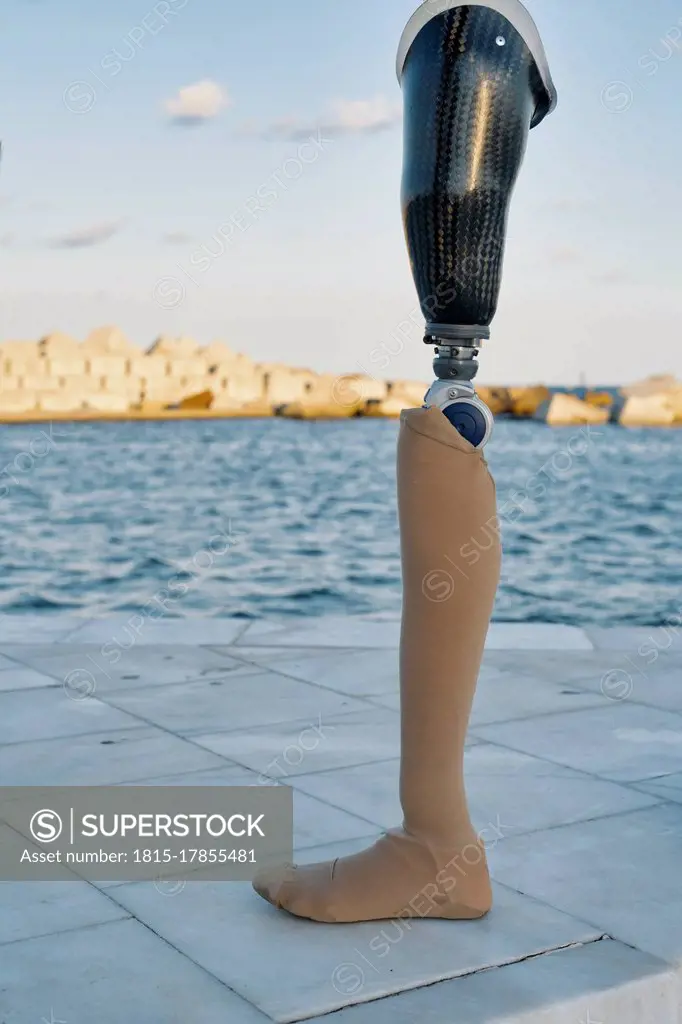 Prosthetic Equipment kept on promenade during sunny day