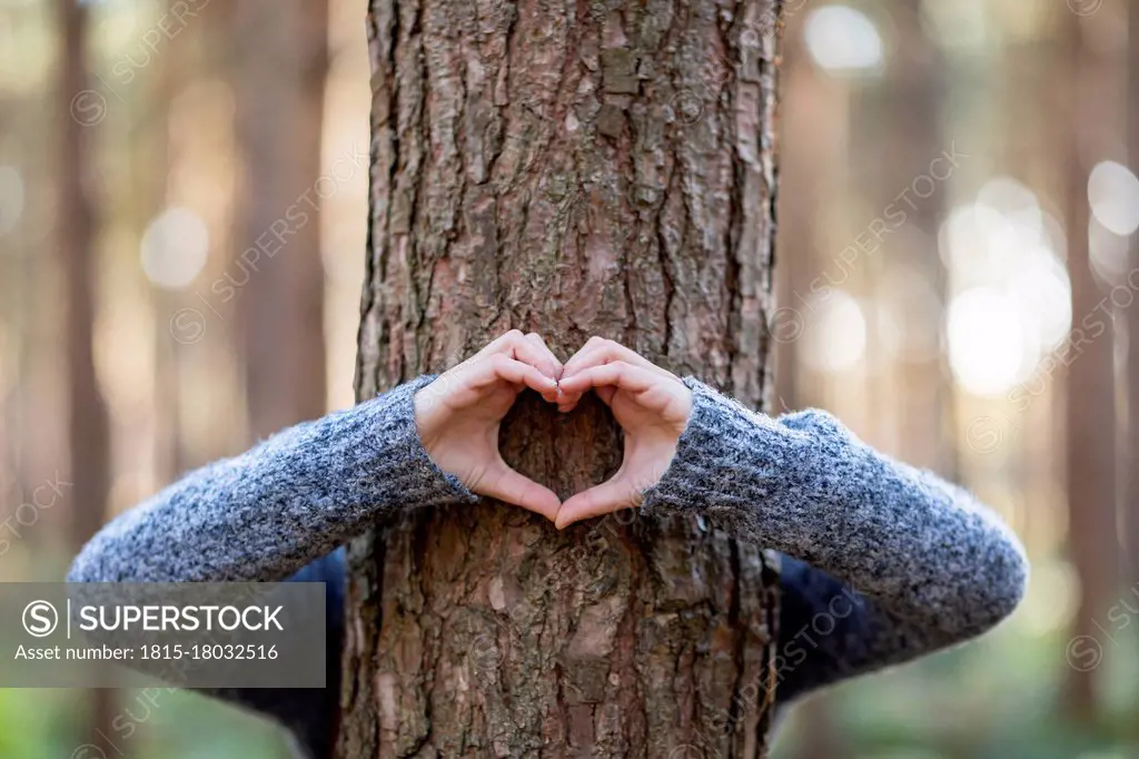 Woman embracing tree and making heart shape in Cannock Chase forest