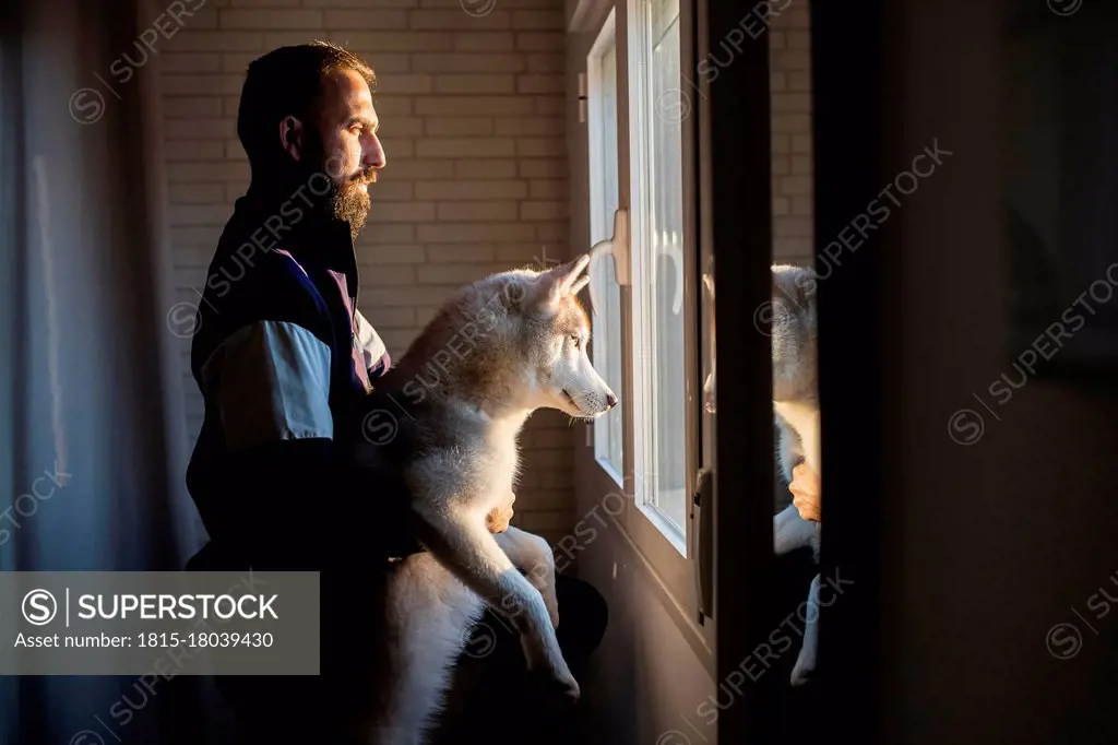 Male pet owner holding Siberian husky while looking through window from home