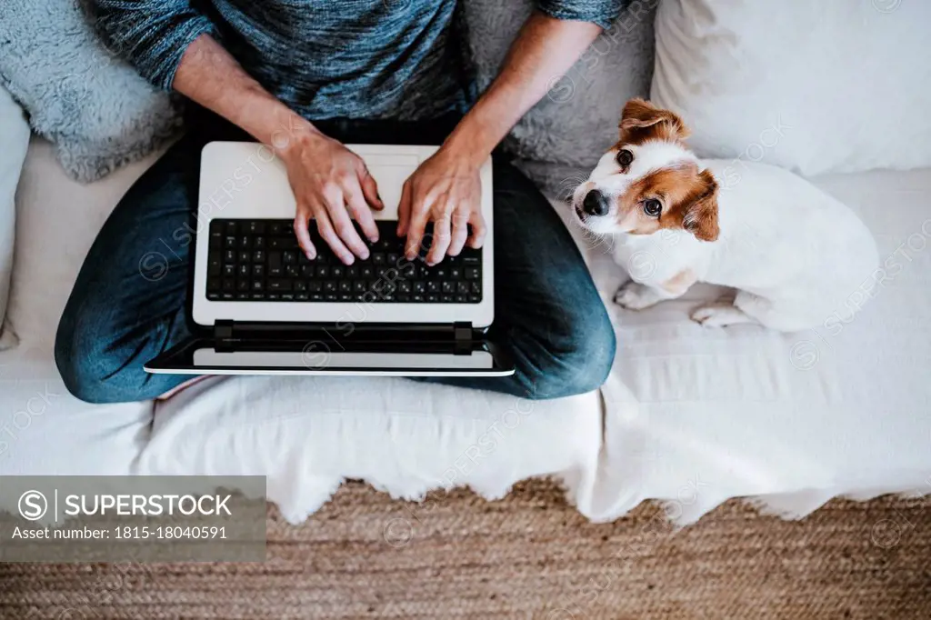 Man working on laptop while sitting by dog on sofa at home