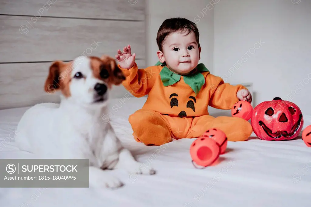 Baby boy wearing halloween costume sitting with dog on bed at home