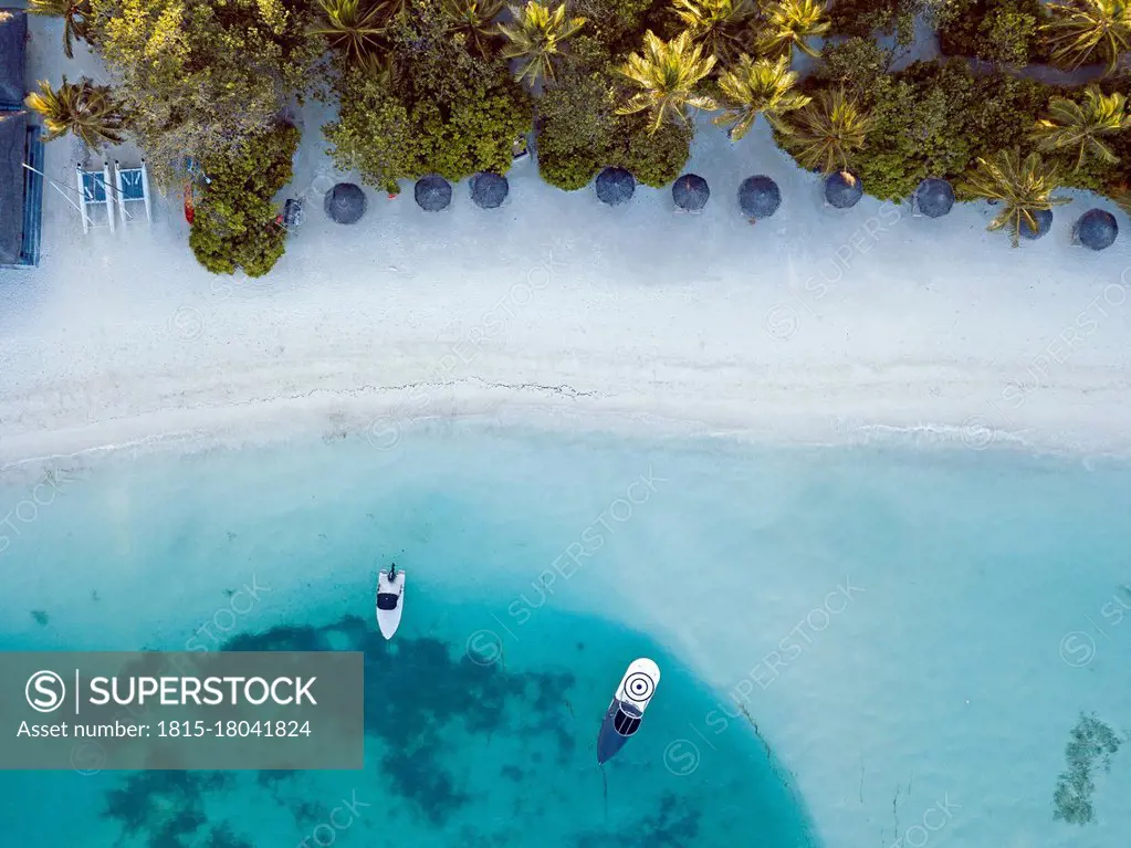 Sunshades at tropical beach, aerial view