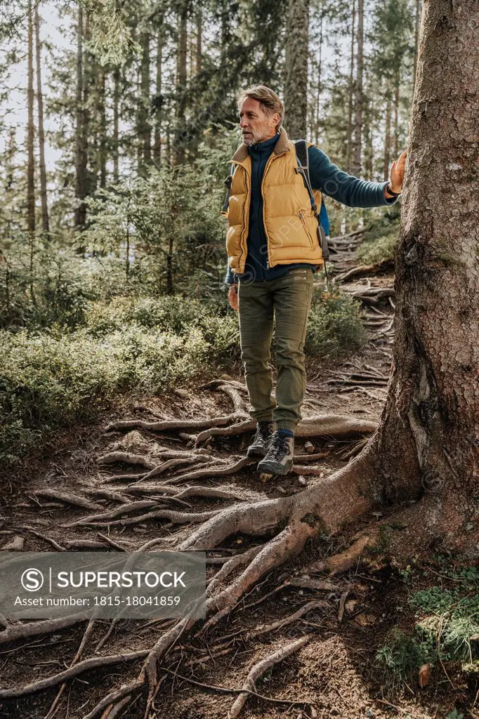 Man standing on roots of tree in forest at Salzburger Land, Austria