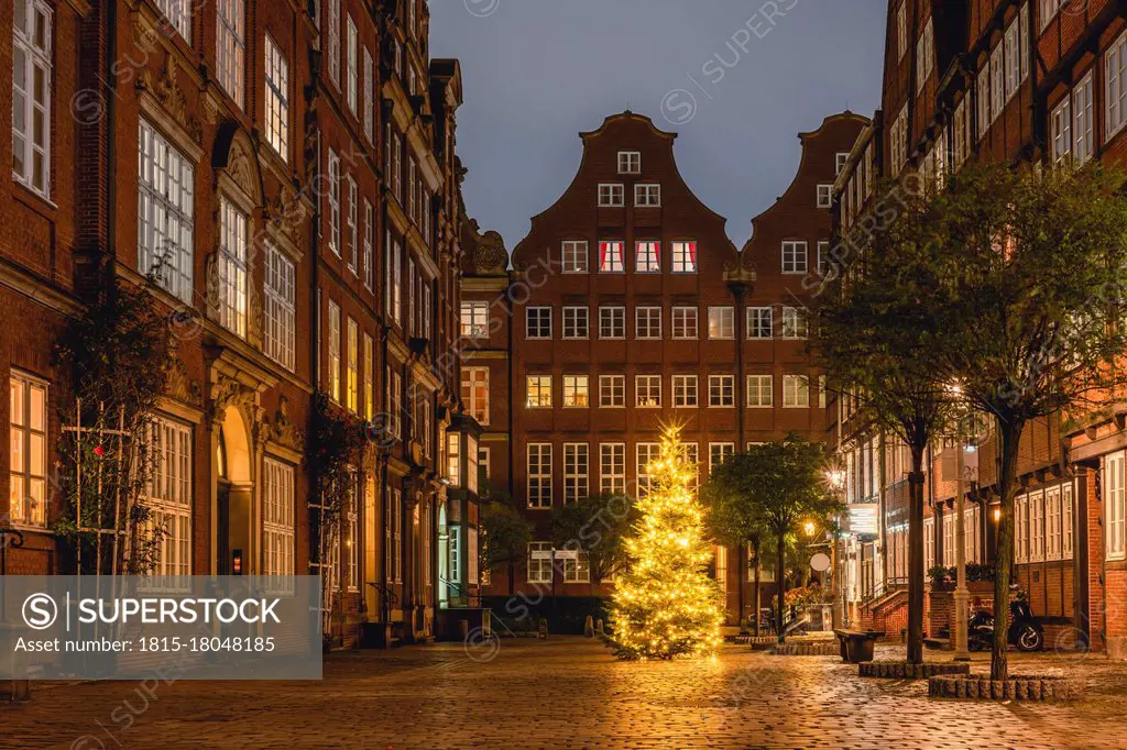 Germany, Hamburg, Christmas Tree on Peterstrasse in Composers Quarter