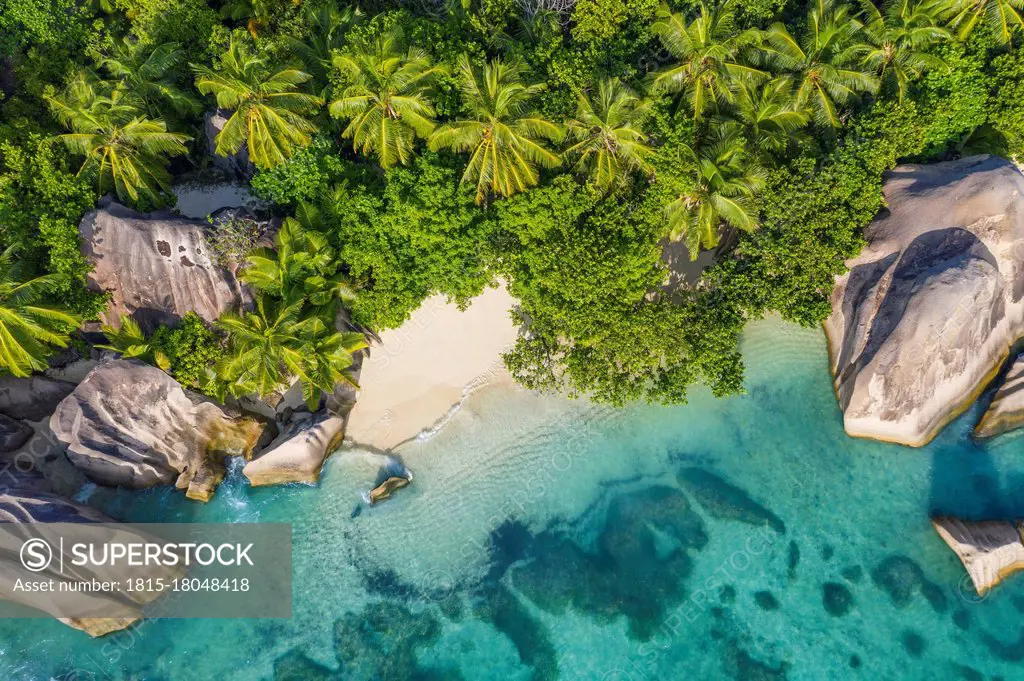 Drone view of Anse Source DArgent beach in summer