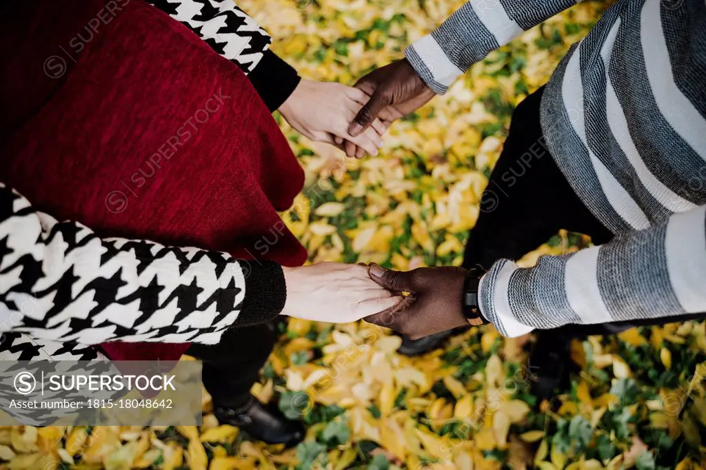 Multi ethnic couple holding hands while standing in park during autumn