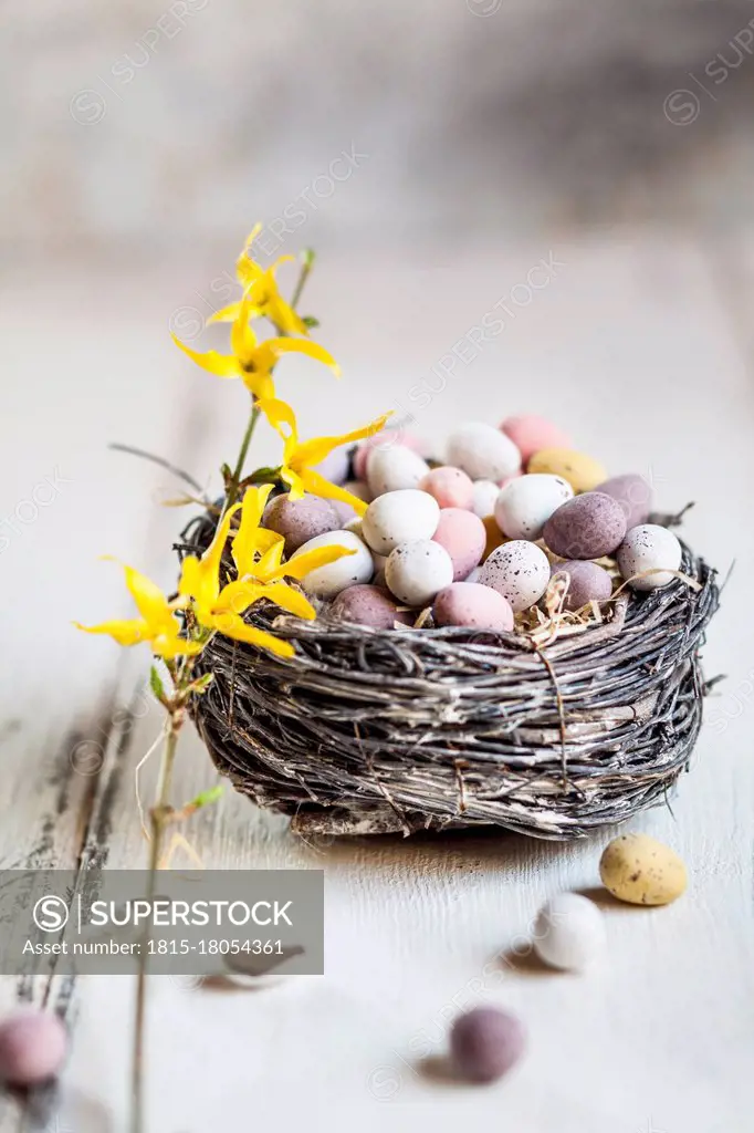 Birds nest filled with chocolate Easter eggs