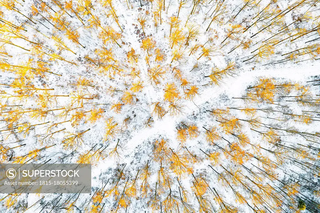 Germany, Baden Wurttemberg, Aerial view of Swabian Forest in winter