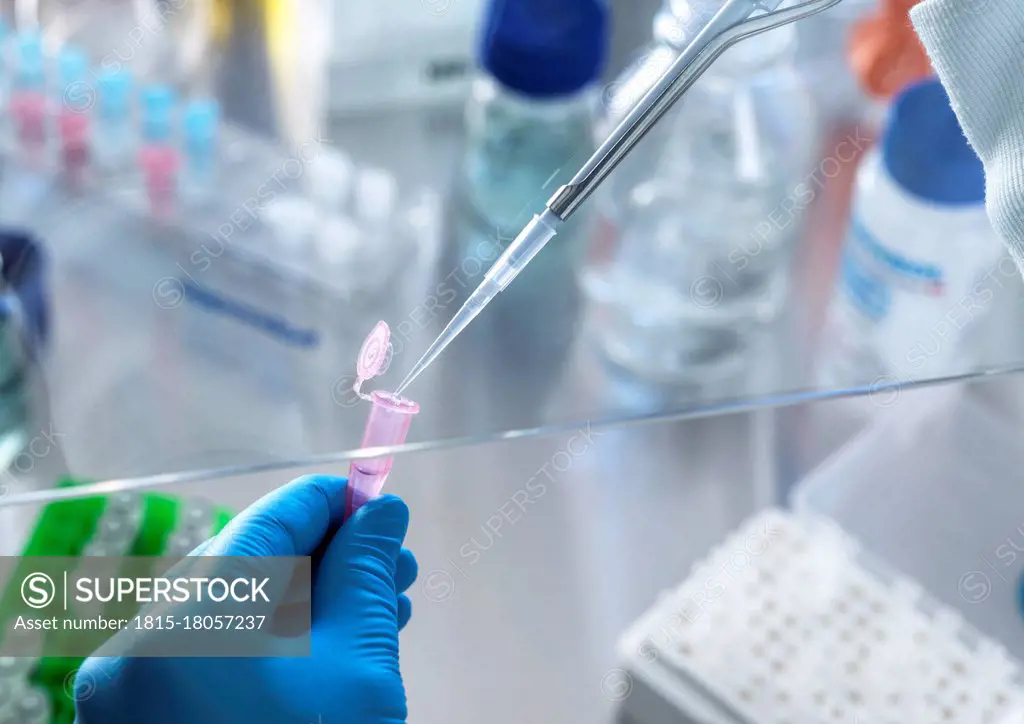 Scientist using pipette while doing research in laboratory