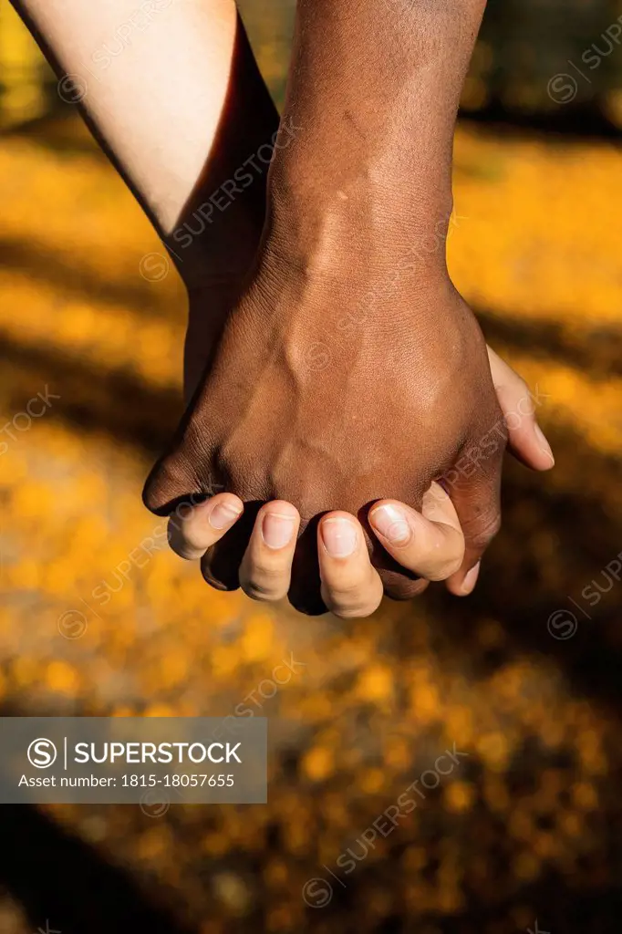 Multi-ethnic couple holding hands at park