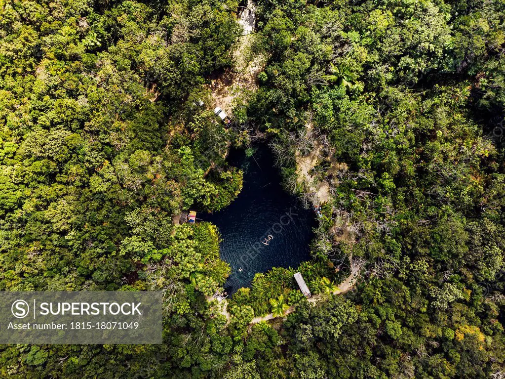 Aerial view of cenote surrounded by green lush jungle