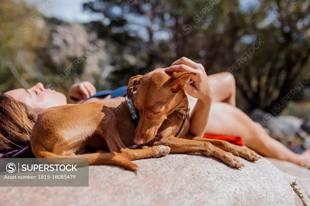 Woman relaxing while lying on rock with dog in forest at La Pedriza, Madrid, Spain