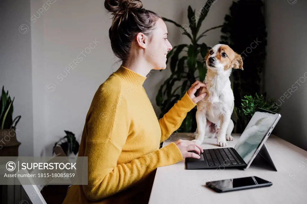 Smiling woman playing with pet while using digital tablet sitting at home