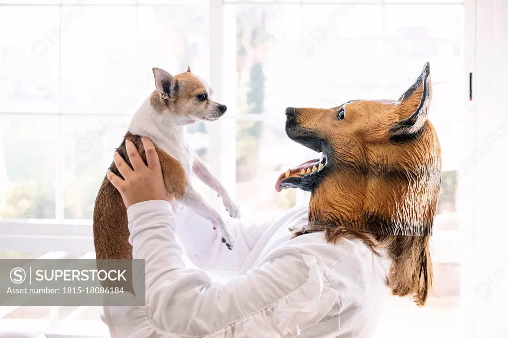 Girl wearing dog mask carrying puppy while standing at home