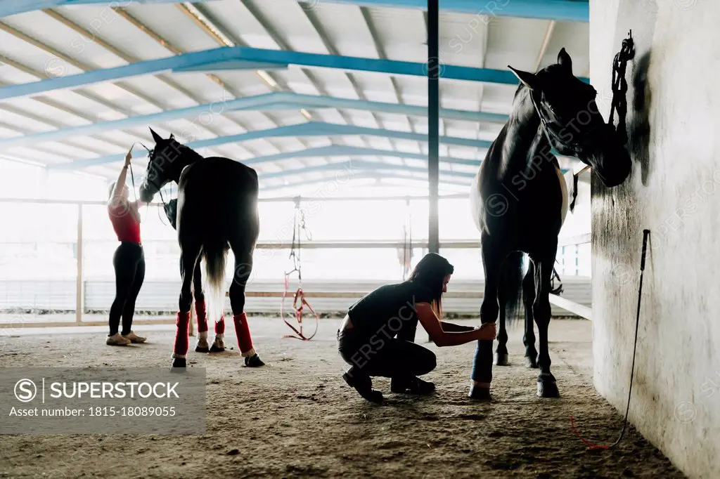 Woman wrapping bandage on horse's leg with female friend at stable