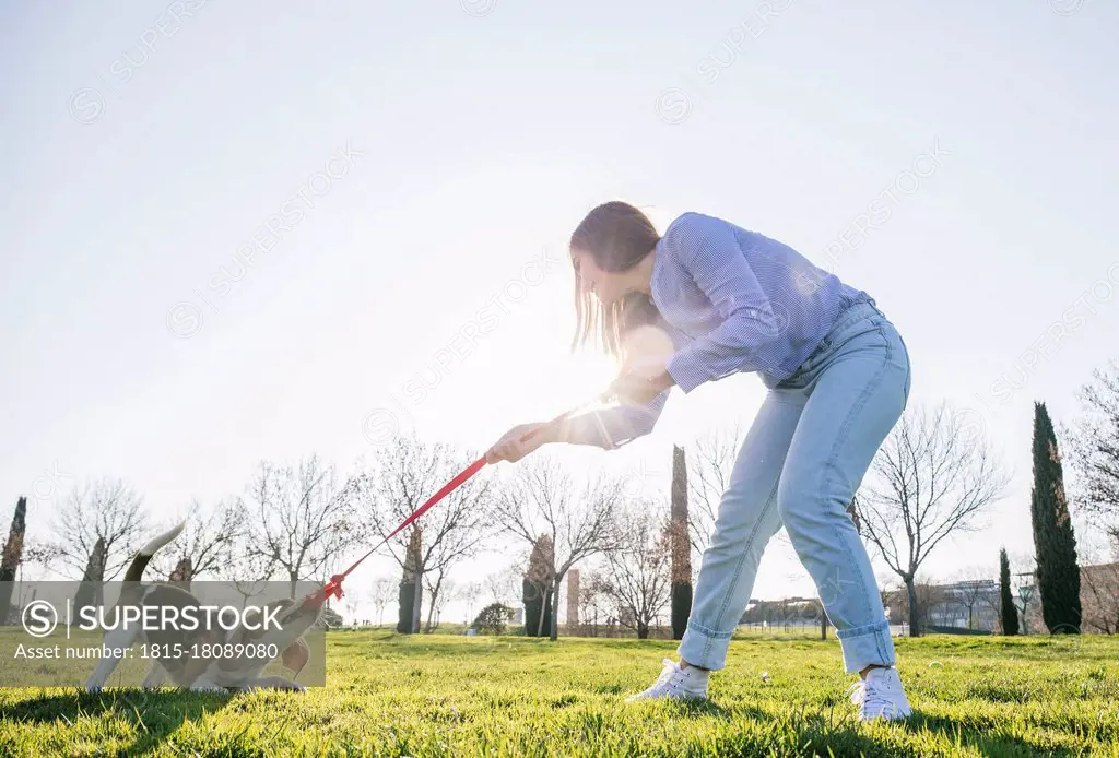 Woman pulling leash from dog while standing on grass