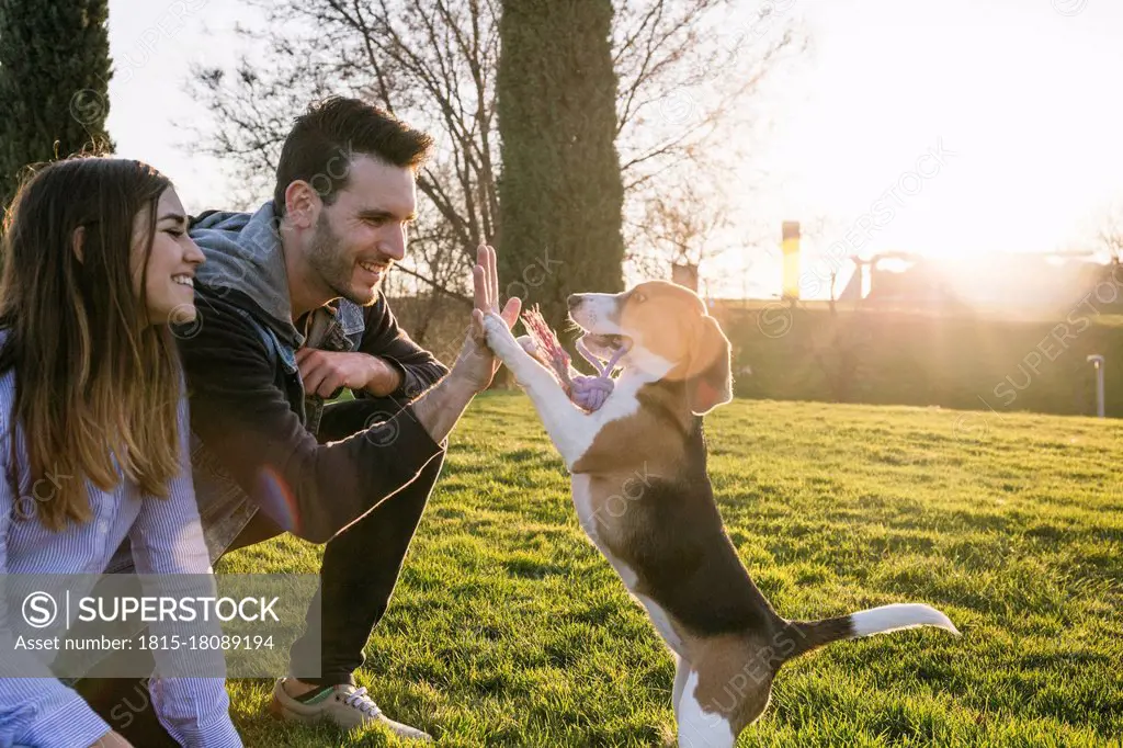 Dog giving high-five to man sitting with woman during sunset