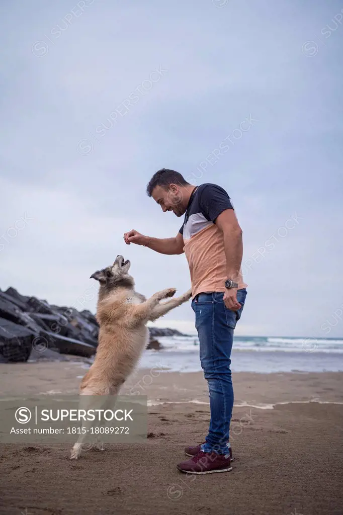 Mid adult man feeding dog while standing at beach against sky