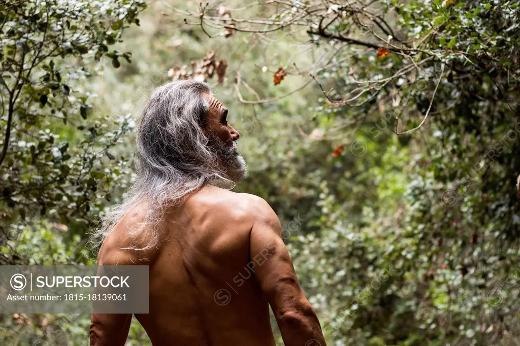 Shirtless senior man standing in forest