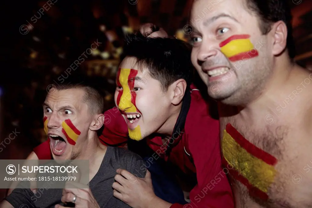 Soccer fans watching TV in pub