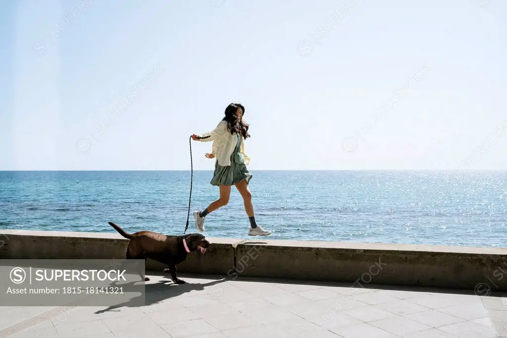 Mid adult woman walking with dog on retaining wall by sea