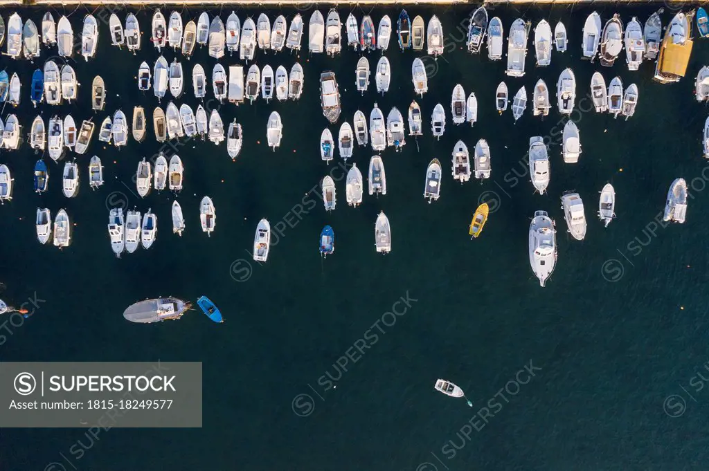 Aerial view of rows of moored motorboats