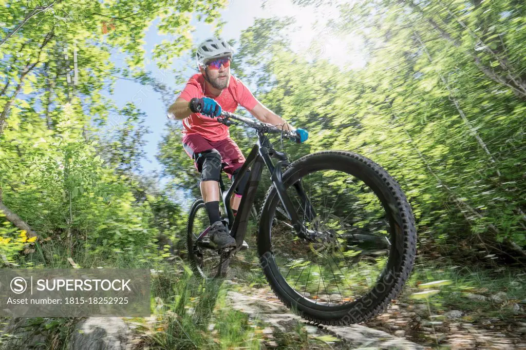 Man riding bicycle on footpath in forest