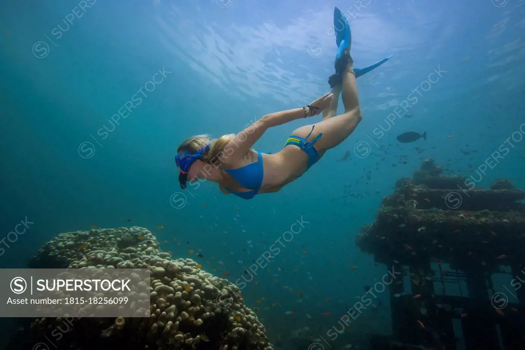 Underwater view of young woman diving in Java Sea