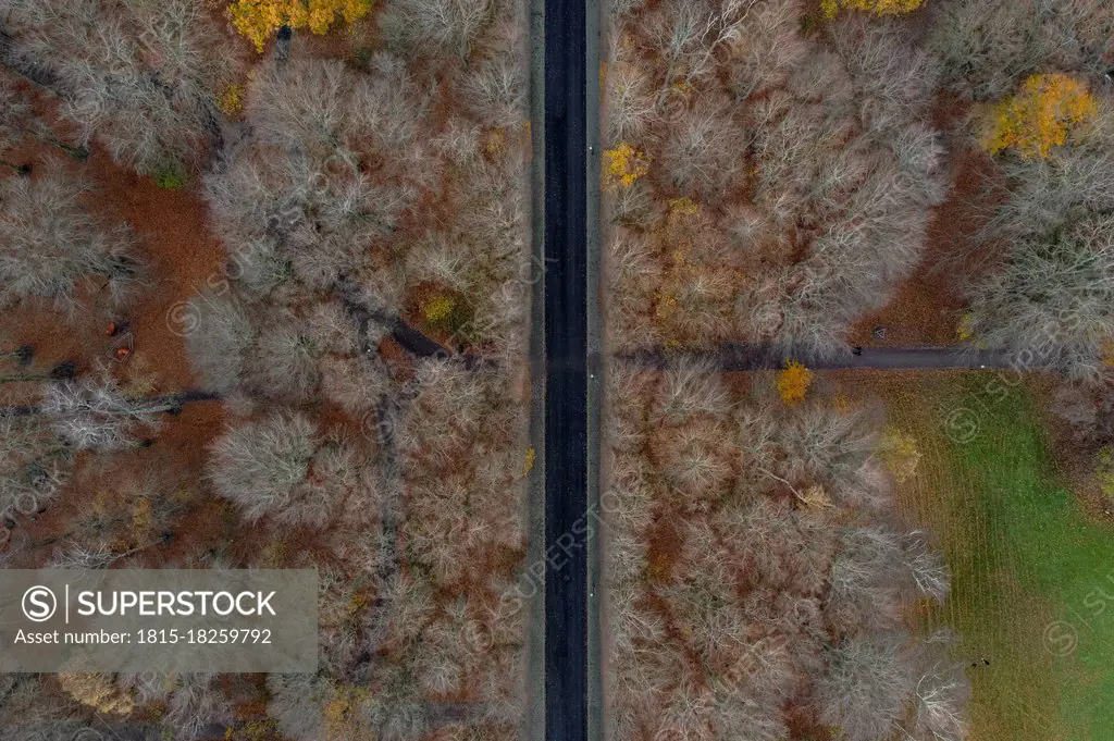 Sweden, Scania, Malmo, Aerial view of straight road cutting through Pildammsparken in autumn
