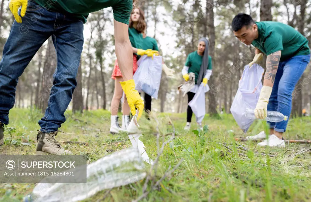 Multi-ethnic volunteers cleaning forest together