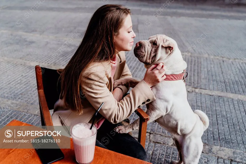 Woman looking at pet while sitting at sidewalk cafe